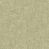 0100960057_fig_57_texture