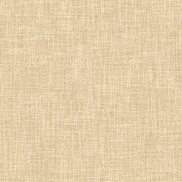 0100960091_fig_91_texture
