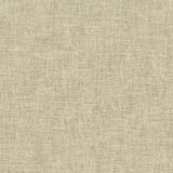 0100960096_fig_96_texture