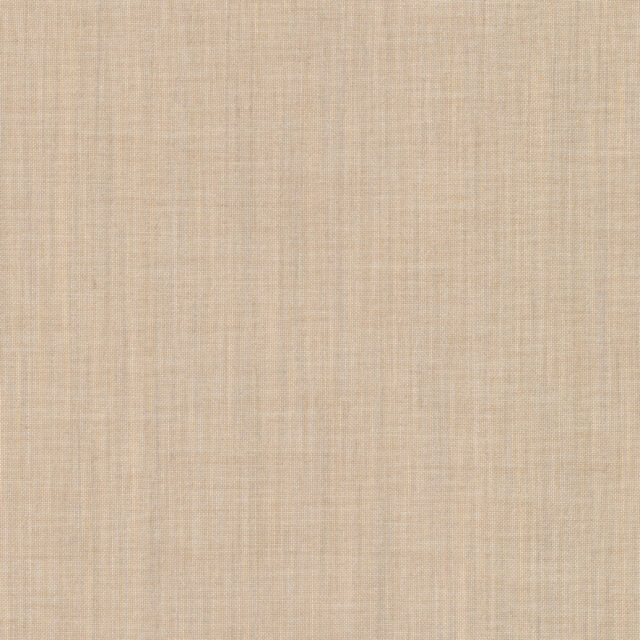 0107520003_audo_03_texture