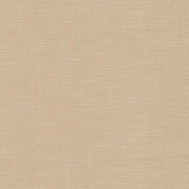 0107560006_arbor_06_texture