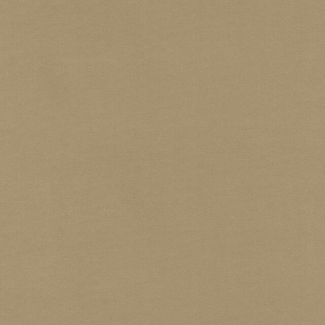 0204530009_alma_09_texture