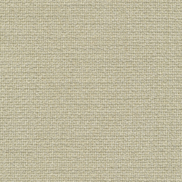 0400300001_meru_01_texture