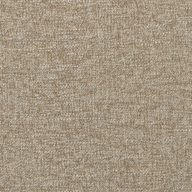 0400320002_ione_02_texture