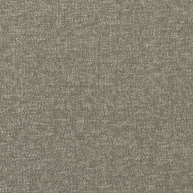 0400320005_ione_05_texture