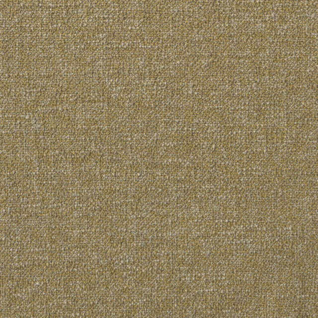 0400320006_ione_06_texture