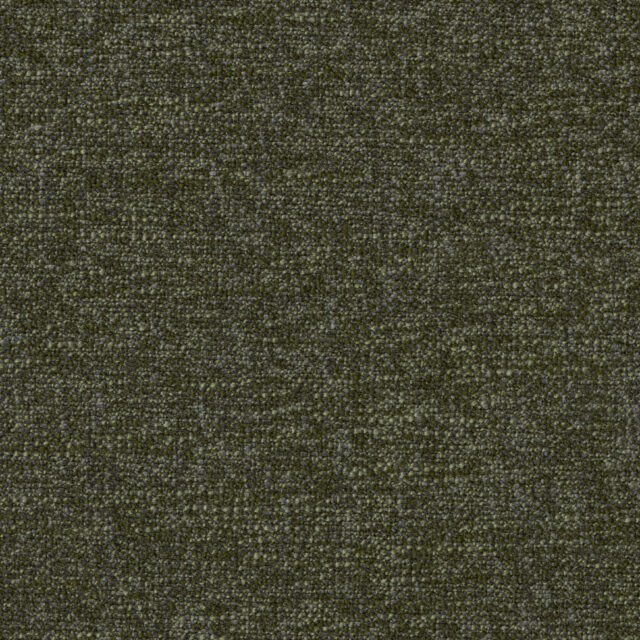 0400320055_ione_55_texture